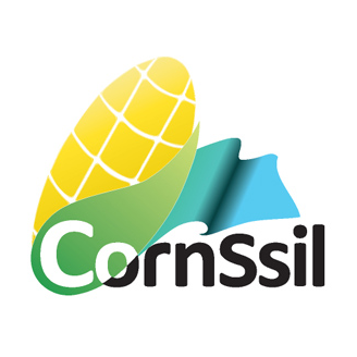 CornSsil 아이콘